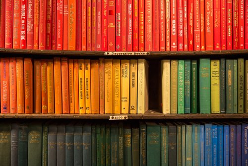 colorful shelves filled with books